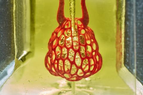 An image showing bioprinting research from the lab of Jordan Miller